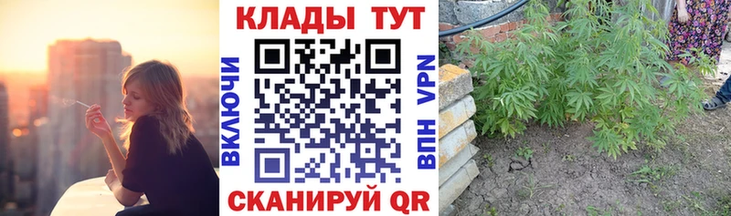 Купить наркотики сайты Нестеров Гашиш  COCAIN  A-PVP  МЕФ 