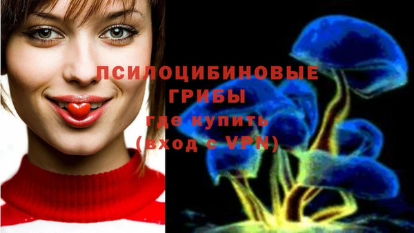 PSILOCYBIN Балахна