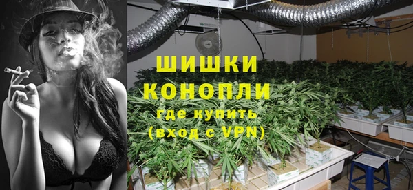 PSILOCYBIN Балахна