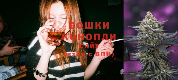 PSILOCYBIN Балахна