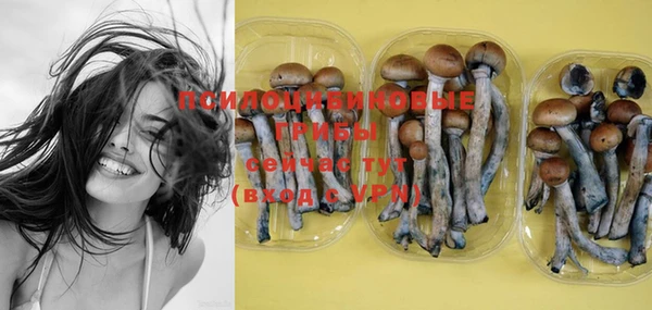 PSILOCYBIN Балахна