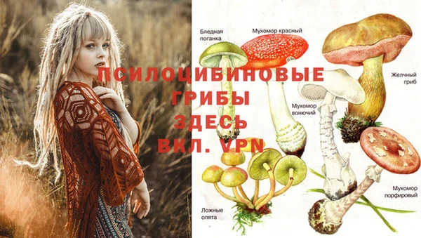 бутират Балабаново
